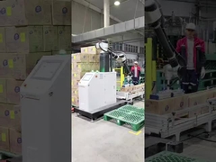 Çinli Endüstriyel Robot İşbirliği Palletizing Robot Çözüm Sağlayıcı