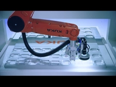 KUKA KR 6 R900-2 901mm Çeşitli ve Esnek Montaj Hatları için Robot Koluna Eriş