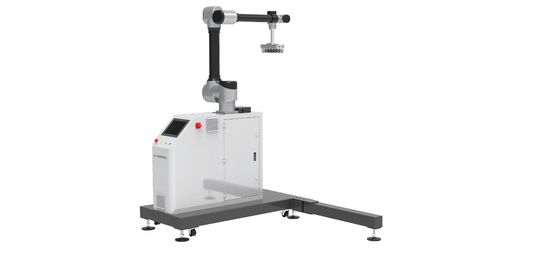 30KG çözüm sağlayıcısı ile WP-20 Çinli Endüstriyel Robot