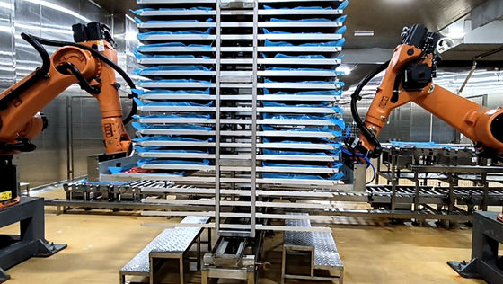 Palet Robotları Gıda Teknolojisi KUKA KR60-3 Endüstriyel Robot Hücresi